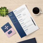 cv programisty