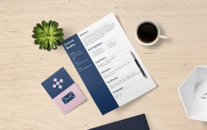 cv programisty